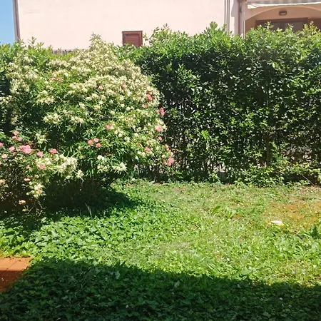 Via Della Musica * Vicchio